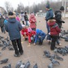 ПОМОГИ ПЕРНАТОМУ ДРУГУ!